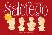 Salctego Modern Luxury Display, a Sans Serif Font by timelesstype.co (Thumbnail 1 of 20)