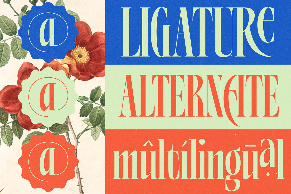 Alkemiogu Modern Serif Display, a Serif Font by timelesstype.co (Photo 6 of 15)