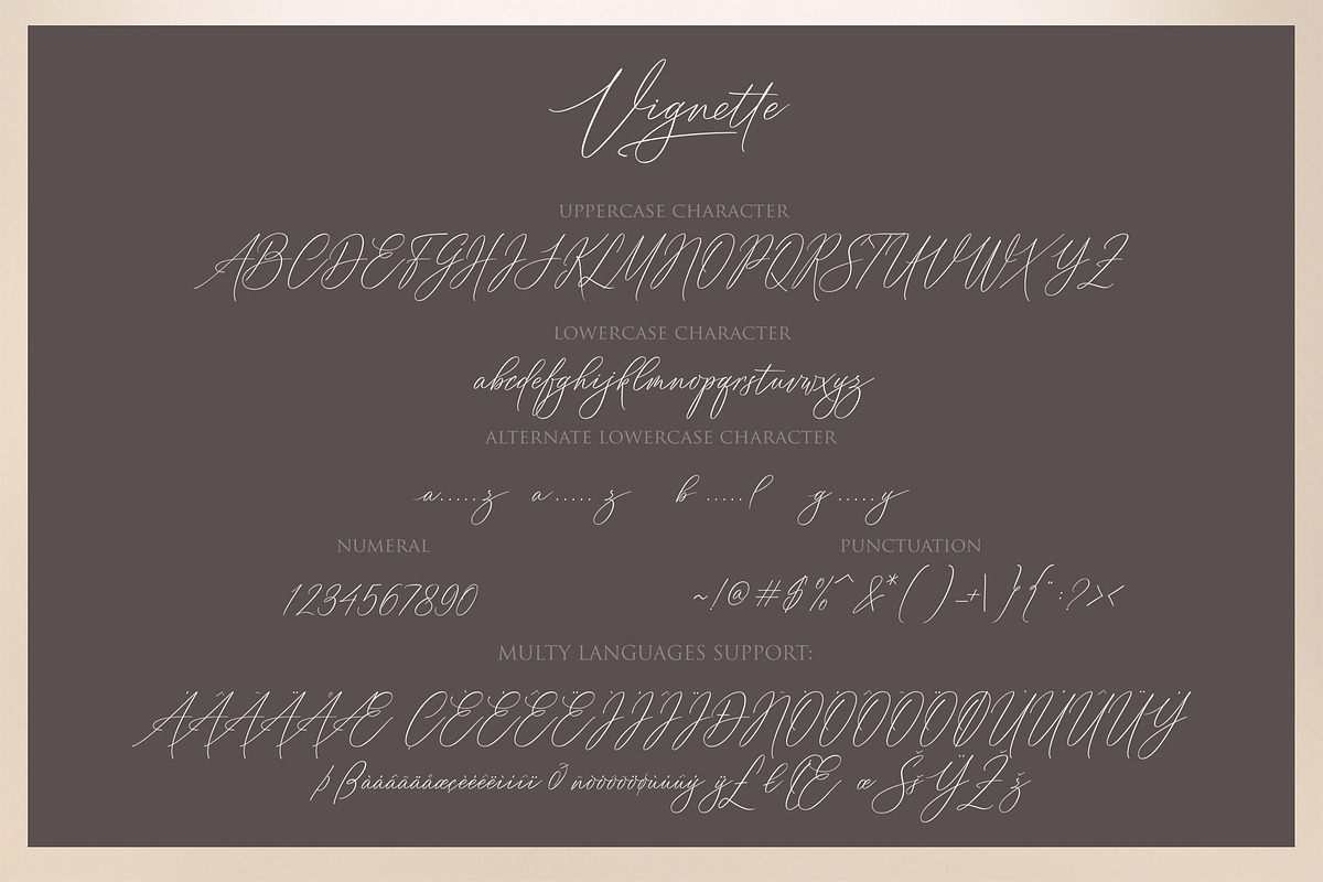 Vignette Signature Font, a Script Font by Byuly Ayika (Photo 11 of 12)