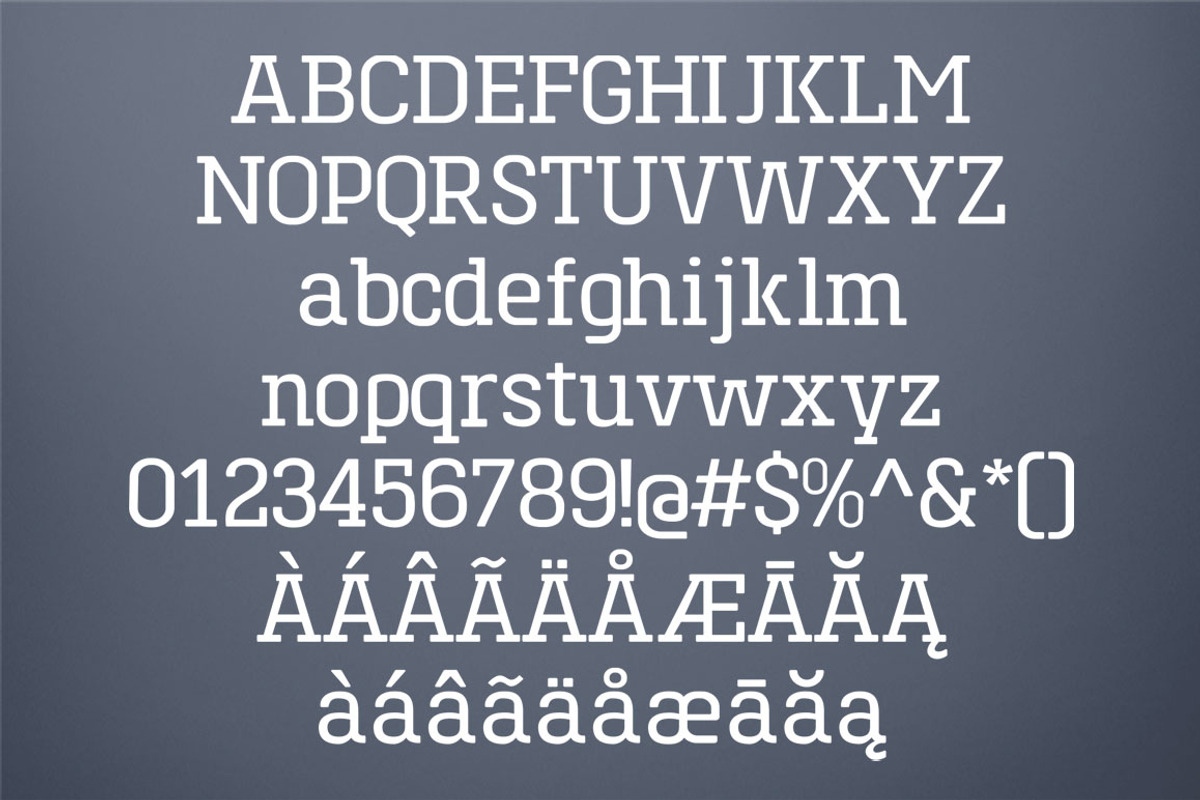 Toenas Bangsa Font Family, a Slab Serif Font by Bang Kumis Typefoundry (Photo 2 of 8)