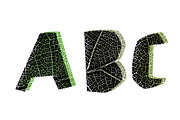 Leaf cut font. Cut-out shape, a Font by pashabo (Thumbnail 5 of 5)