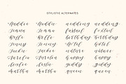 Columbidae Elegant Calligraphy Font, a Script Font by The Pigeon Letters (Thumbnail 5 of 11)