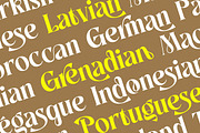 Grosling Michael Elegant Serif, a Serif Font by Cruzine (Thumbnail 2 of 8)