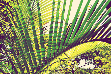 Summer Love.