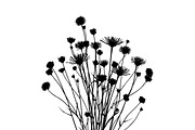 Meadow Flower Silhouette Vector, an Illustration by Designs_River (Thumbnail 5 of 9)