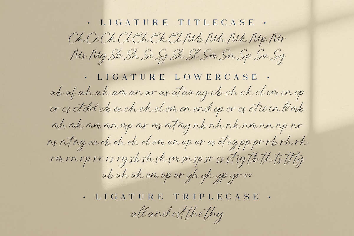 Manfollo Modern Script, a Script Font by alit design (Photo 9 of 15)