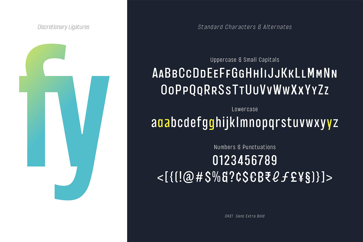OKE! Sans Family ( Variable Fonts ), a Sans Serif Font by Paperwitch (Photo 4 of 15)
