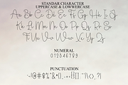 Beauty Flamingo, a Handwritten Font by InermediaSTUDIO (Thumbnail 3 of 7)