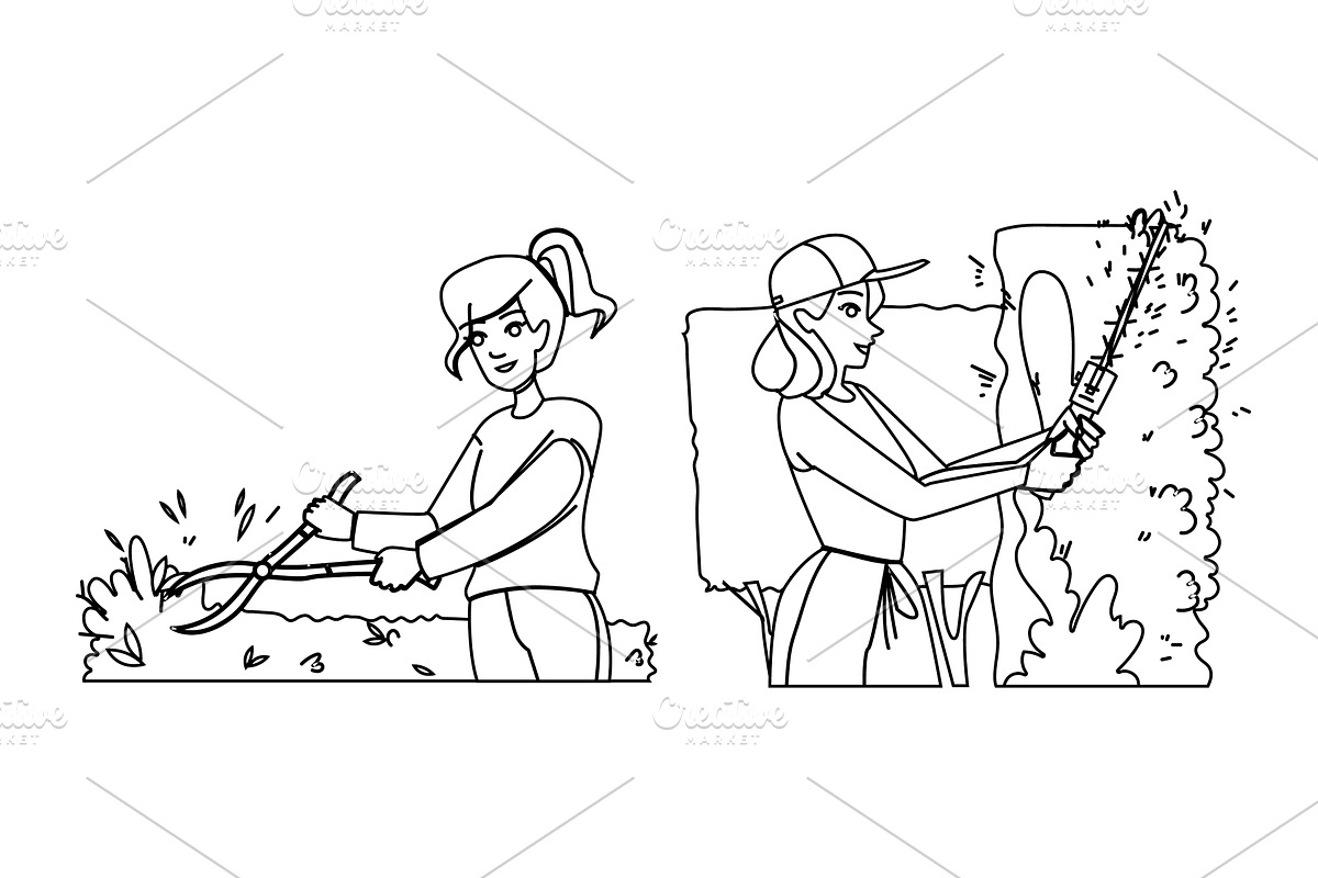 nature garden woman bush vector, a Person Illustration by pikepicture
