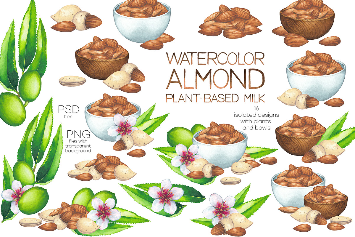 Watercolor almond milk, a Food Illustration by Ekaterina Glazkova (Photo 3 of 11)