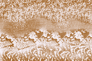 15 Sequins brushes for Procreate, a Brush Add-On by Graphics Resources (Thumbnail 6 of 9)