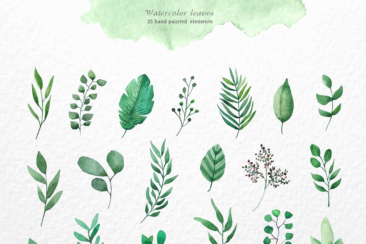 Watercolor Foliage Set, a Decorative Illustration by kate_illustration (Photo 4 of 6)