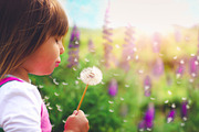 19 Bold Color Matte Portrait Presets, an Action Add-On by Timeless Presets (Thumbnail 6 of 8)