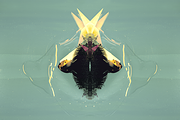 8 Dirty, Funky & Original BG images, a Templates & Theme by 89colors (Thumbnail 6 of 10)