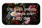 Bougerose a Modern Display Font, a Sans Serif Font by Typetemp Studio (Thumbnail 5 of 16)