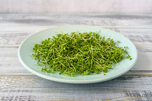Fresh green broccoli microgreens on a white plate. Healthy sprout plant ingredi, a Food & Drink Photo by Eugene_Photo