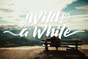 Decalled - Stylistic Fonts, a Script Font by SemutHitam Creative (Thumbnail 2 of 7)