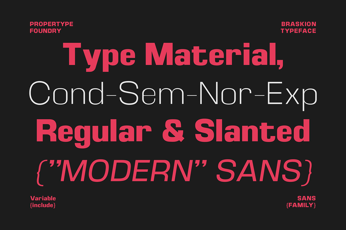 Braskion, a Sans Serif Font by Propertype (Photo 4 of 15)