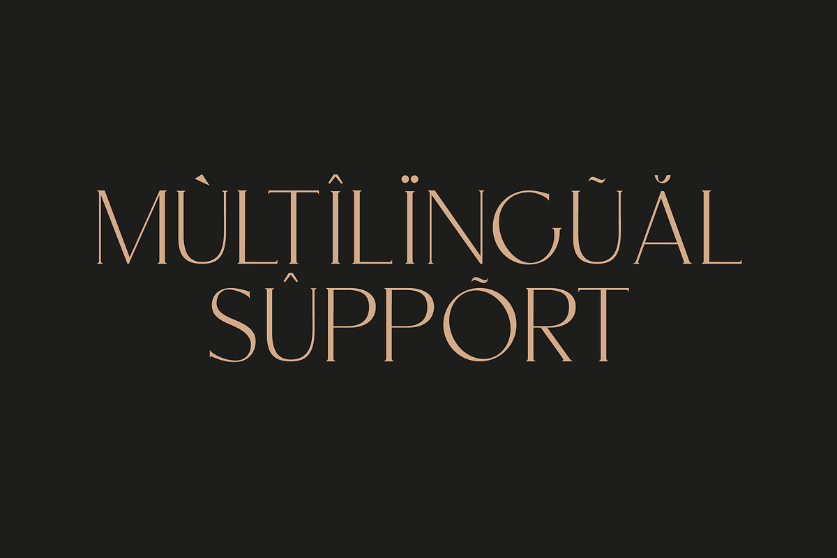 CARNIVAL Elegant Serif Font, a Serif Font by Anna Zakharchenko (Photo 13 of 14)