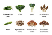 Garden Vegetables & Mushrooms -PNG, a Food Illustration by Nurlan's shop (Thumbnail 9 of 11)