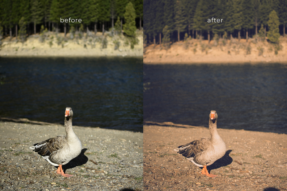LR presets Nostalgic, a Preset Add-On by Emi Martinez Diana (Photo 13 of 16)