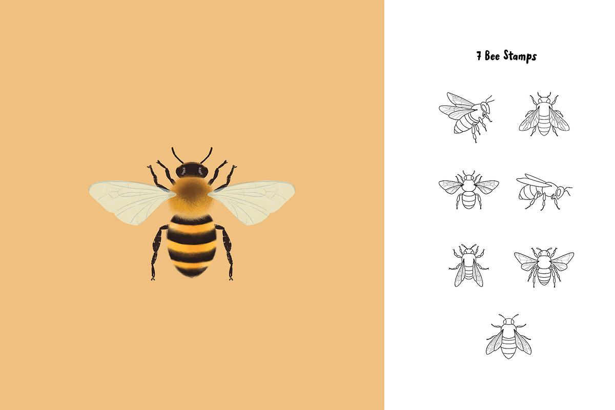 Bee Creator: 100 Procreate Brushes, a Brush Add-On by Pencil Twist (Photo 3 of 11)