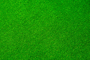 Artificial grass texture from above