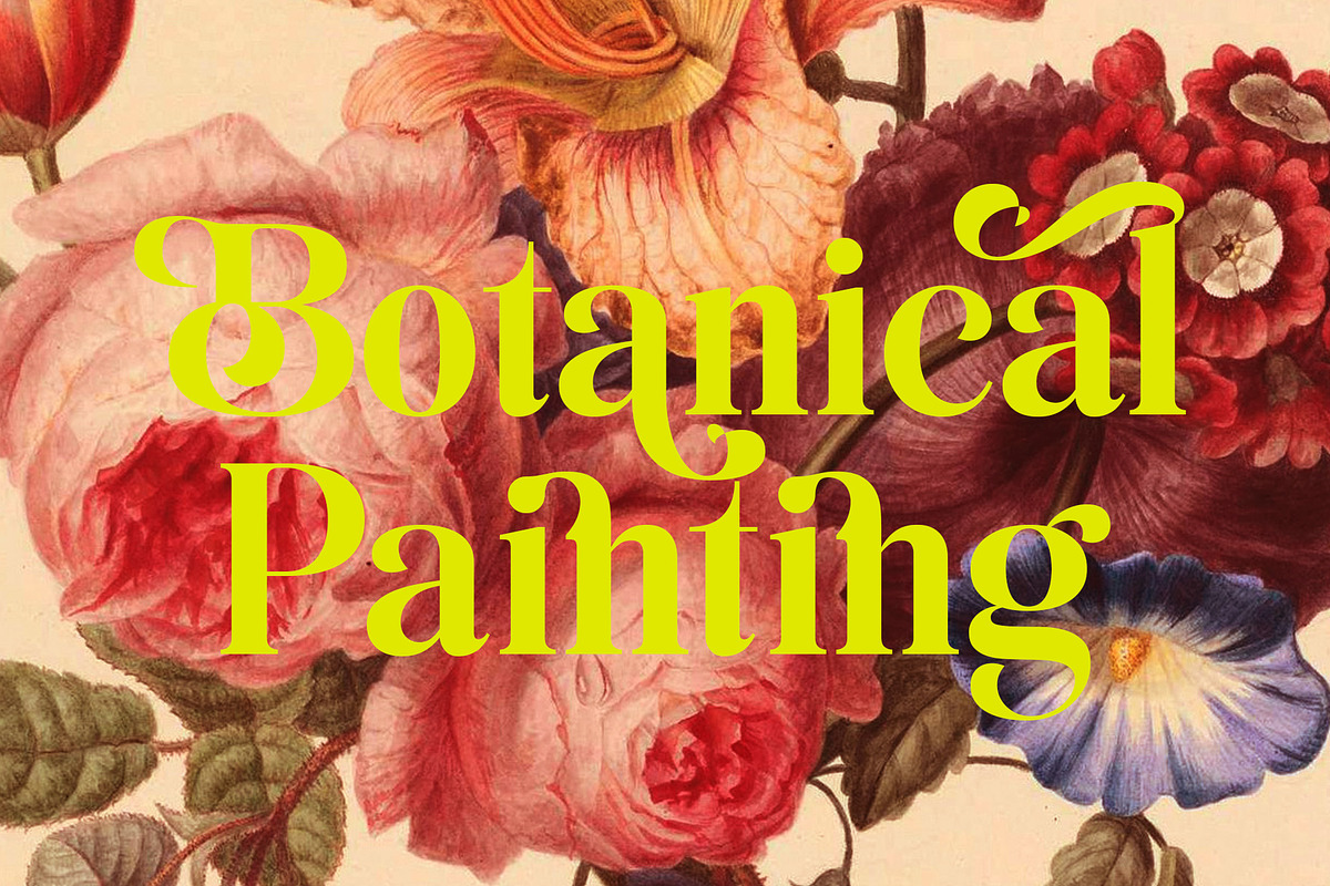Shakira Beauty Serif, a Serif Font by Violet Natural (Photo 9 of 13)