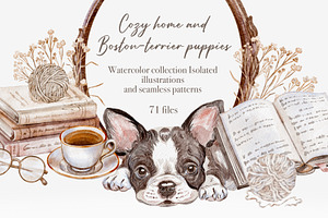 Cozy Home And Boston Terrier Puppies
