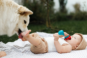 Cute dog licking beautiful happy baby on blanket with toys on ba, a Person Photo by Sonjachni