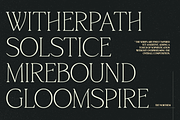 TRT Northem – Elegant Serif Font, a Serif Font by truetype (Thumbnail 3 of 15)