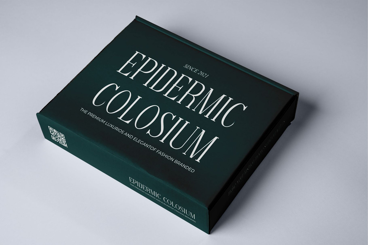 Felontin Partians || Modern Serif, a Serif Font by Idea Studio (Photo 4 of 5)