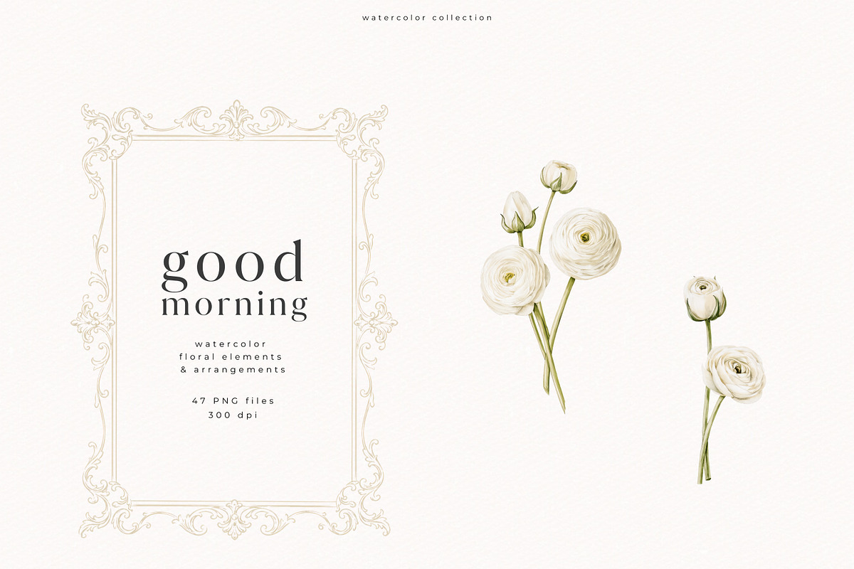 Good Morning Collection, a Decorative Illustration by PeDe Designs (Photo 12 of 19)