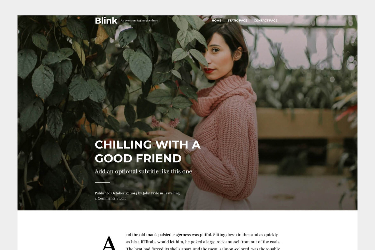Blink - A WordPress blogging theme, a WordPress Template by Codestag (Photo 2 of 5)