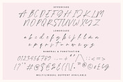 Love Limits - Lovely Stylish Font, a Script Font by Prioritype Co (Thumbnail 9 of 10)
