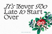 Pearl Blossom - Modern Serif, a Serif Font by Ivan Rosenberg (Thumbnail 8 of 21)