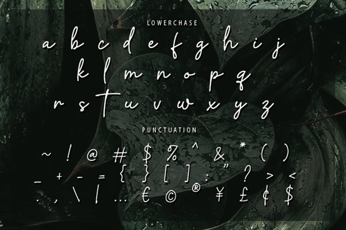 Artecallya, a Script Font by GlottaTypeface (Photo 6 of 8)