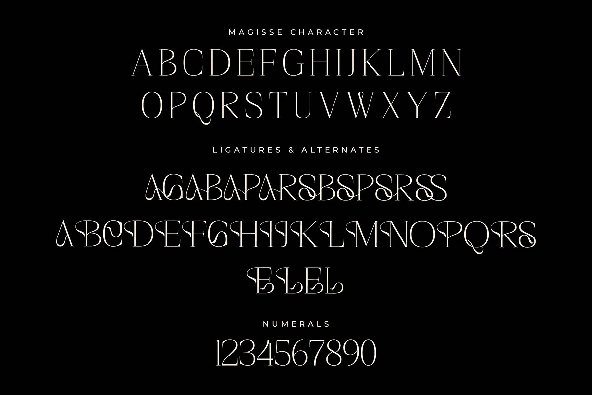 Magisse Display Serif Font, a Serif Font by Storytype Studio (Photo 13 of 15)
