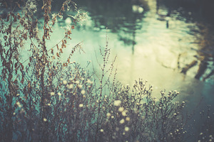 Iseeyouphoto winter lake 6 stock photo containing nature and outdoors