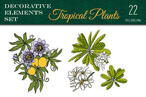 Tropical Plants Set