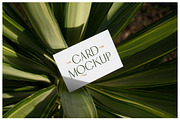 Business Card Mockups - Outdoor, an Advertising Mockup by Mr.Mockup™ (Thumbnail 6 of 23)