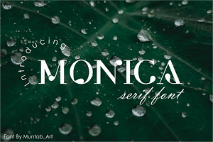 Monica Modern Serif Font