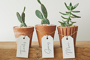 Tuscan Garden Font Duo, a Handwritten Font by Callie Rian & Co. (Thumbnail 9 of 16)