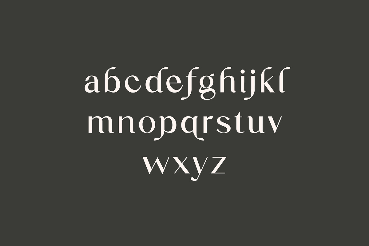 Jekaterina Modern Serif Font, a Serif Font by UICreative (Photo 4 of 8)