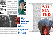 BD Megalona - Old Style Serif, a Serif Font by Balibilly Design (Thumbnail 11 of 16)