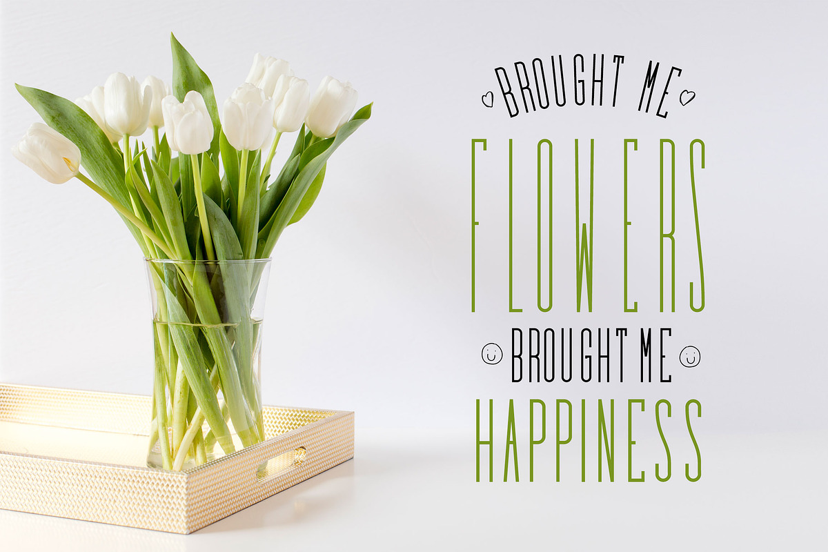 Elegant - Font Collection - 7 Fonts, a Sans Serif Font by CorgiAstronaut (Photo 33 of 41)