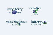 Bilberry rough serif font, a Serif Font by Art pages (Thumbnail 6 of 10)