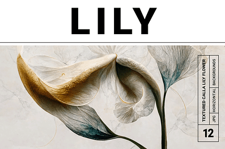Lily Collection · Calla Lily Flowers