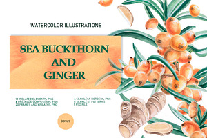 Sea Buckthorn and Ginger, a Food Illustration by SvetLana