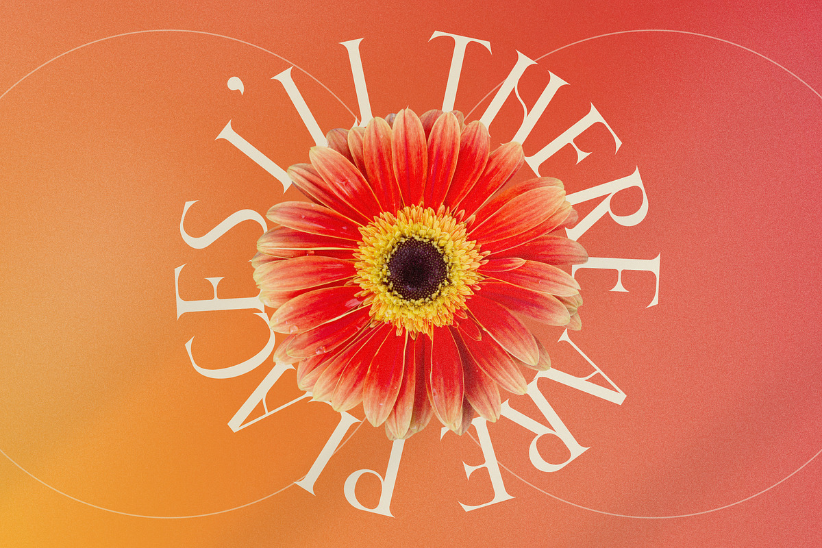 Glorando Modern Serif Font Display, a Serif Font by Storytype Studio (Photo 10 of 15)